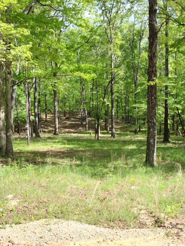 0 South Hidden Valley Rd, Nunnelly, TN 37137