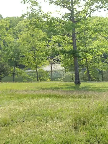 0 South Hidden Valley Rd, Nunnelly, TN 37137