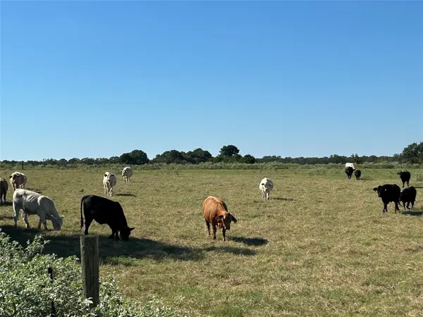 5.556 acres Farris Lane LN, Smithville, TX 78957