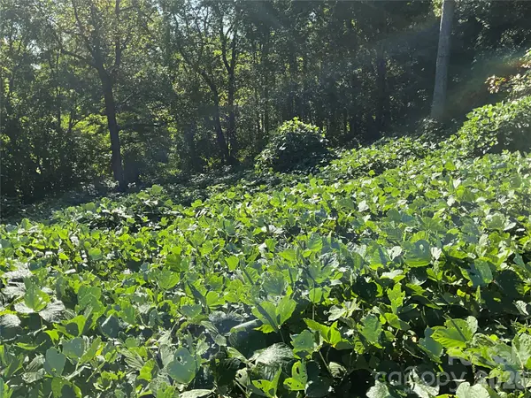 Lot 7 Macy CT, Taylorsville, NC 28681