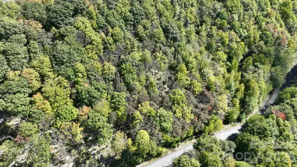 Lot 8 South View TRL #8, Banner Elk, NC 28604