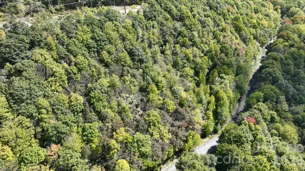 Lot 8 South View TRL #8, Banner Elk, NC 28604