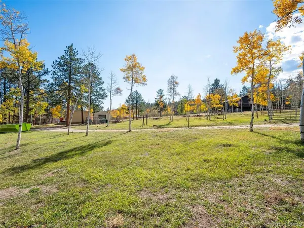 196 Beaver, Bailey, CO 80421