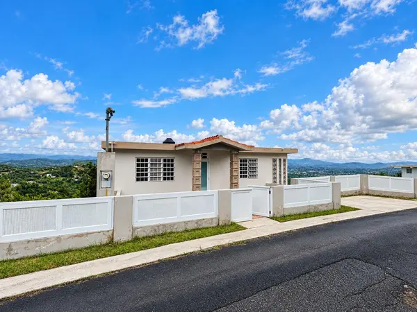 CARR. 788 BO. QUEMADOS KM 8.7, San Lorenzo, PR 00754