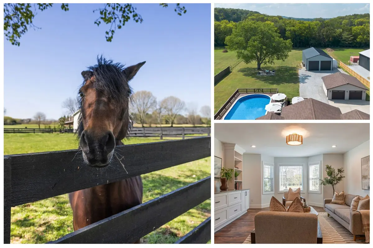 6385 Lampkins Bridge Rd, College Grove, TN 37046
