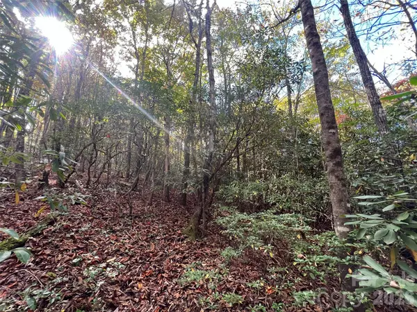 0 Wild Magnolia WAY #46, Zirconia, NC 28790