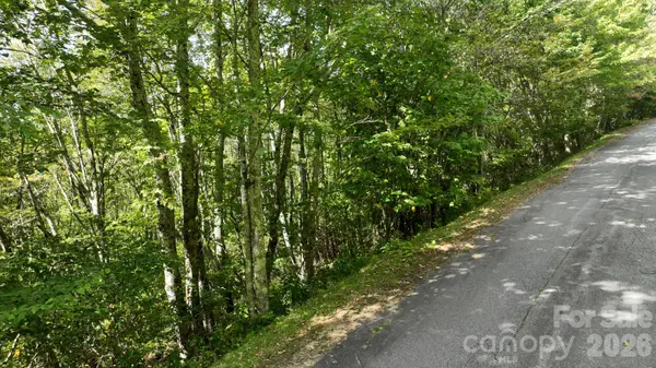 Lot 1 South View TRL #1, Banner Elk, NC 28604