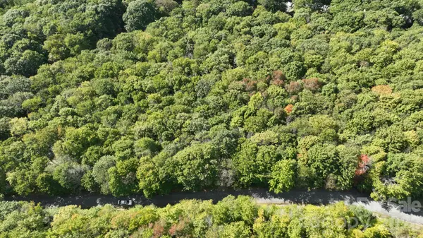 Lot 1 South View TRL #1, Banner Elk, NC 28604