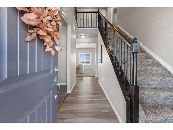 1555 Corby, Windsor, CO 80550