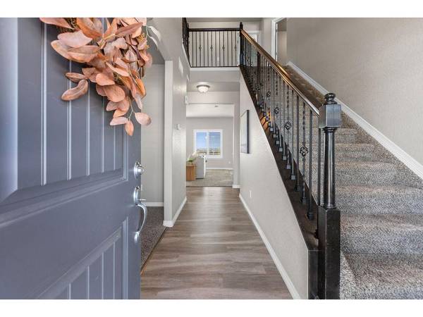 1555 Corby, Windsor, CO 80550