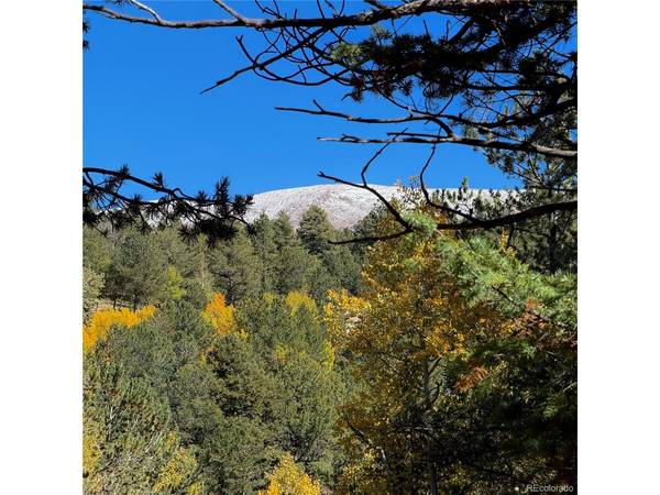 800 Timber Ridge, Divide, CO 80814