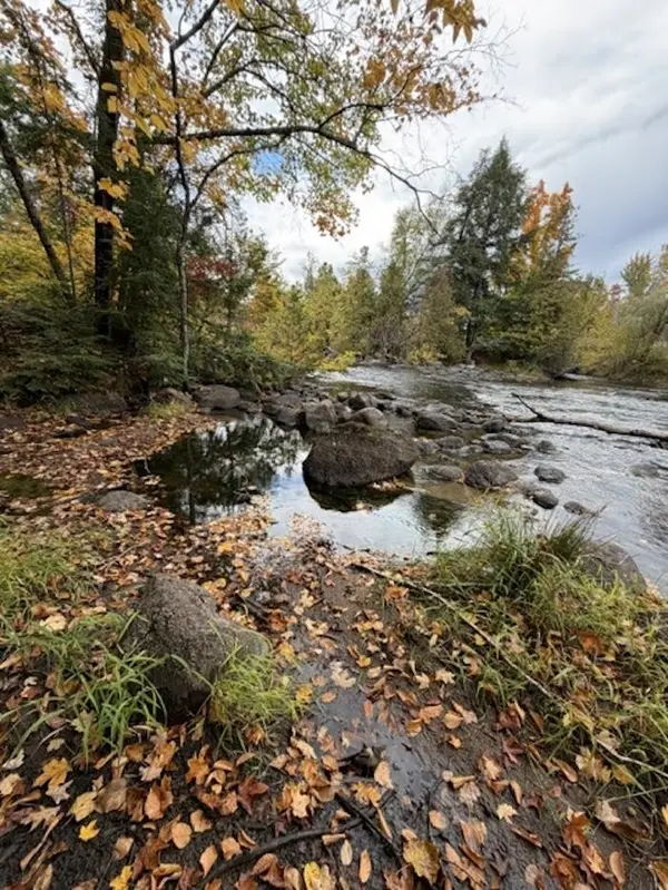 12466 BEDROCK LN, Mountain, WI 54174