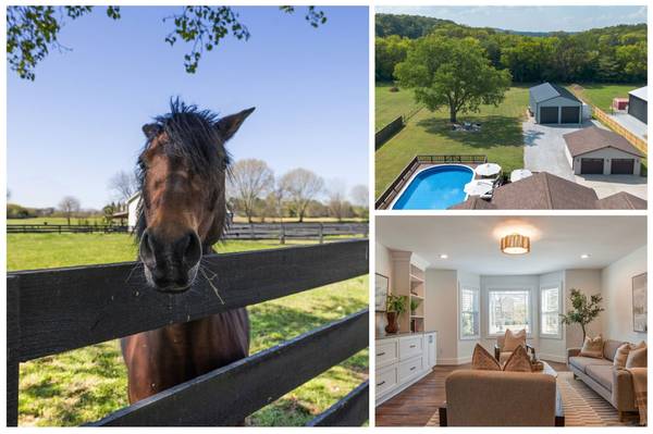 6385 Lampkins Bridge Rd, College Grove, TN 37046