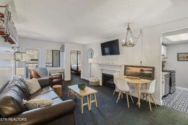 102 Baskins Creek Bypass #207, Gatlinburg, TN 37738