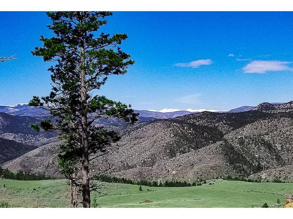 59 Bobcat Mountain, Livermore, CO 80536