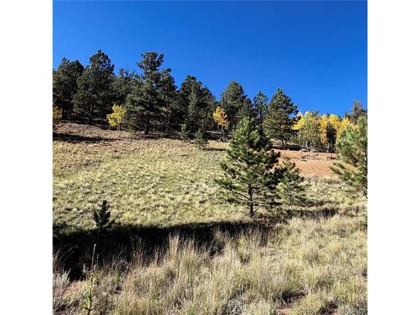 200 Beaver Pond, Divide, CO 80814