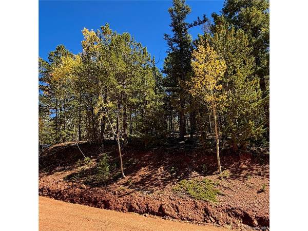 624 Witherite, Divide, CO 80814