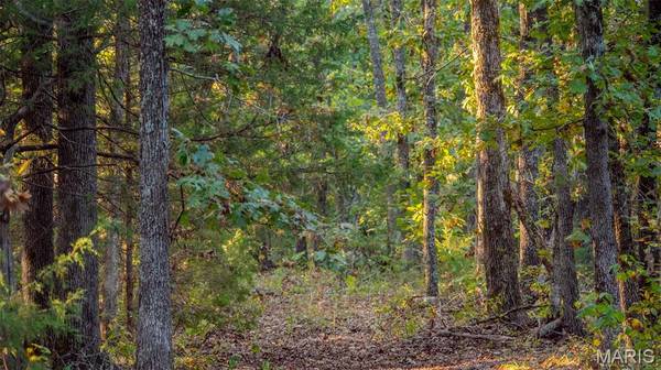 000 Private Drive 1063, St James, MO 65559