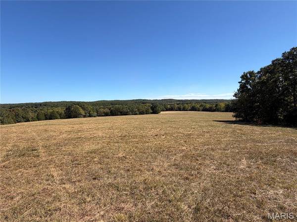 0 State Hwy P, Potosi, MO 63664