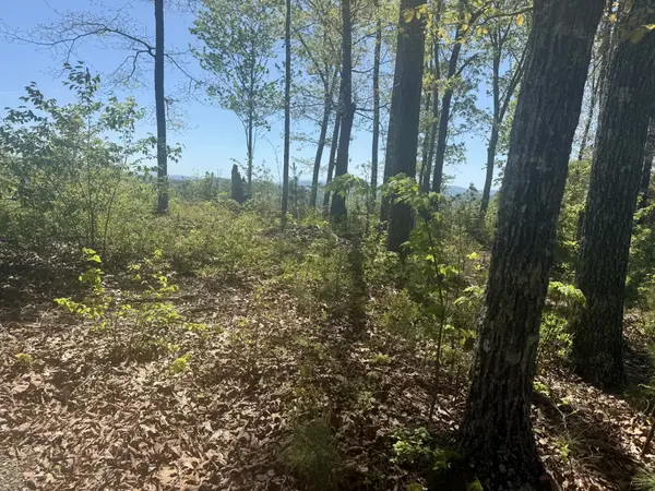 0 Wayah Rdg, Murphy, NC 28906