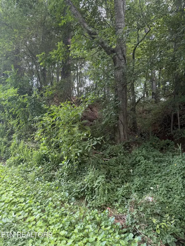 143 Randolph Fridley Rd, Sweetwater, TN 37874