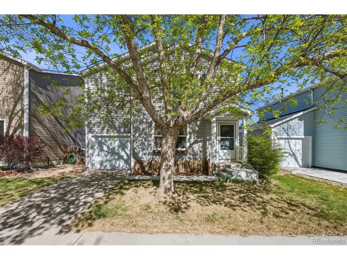 4641 S Tabor, Morrison, CO 80465