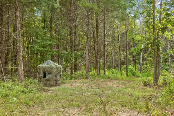 10 Sturgeon Creek rd, Cedar Hill, TN 37032