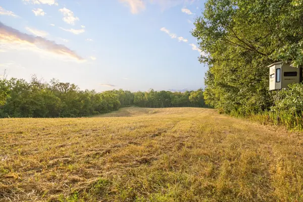 10 Sturgeon Creek rd, Cedar Hill, TN 37032