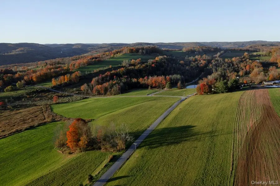 102 Radio Tower RD, Callicoon, NY 12723