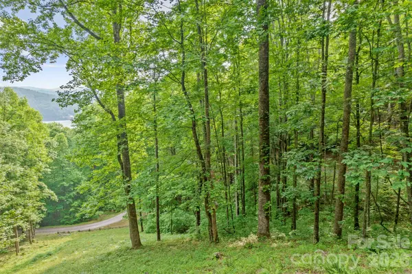 Lt 10 Von Trapp LN #10, Tuckasegee, NC 28783