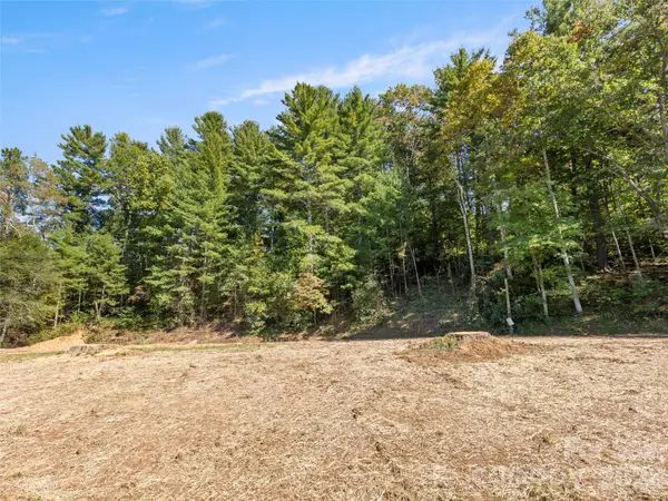 920 Mills Gap RD, Fletcher, NC 28732