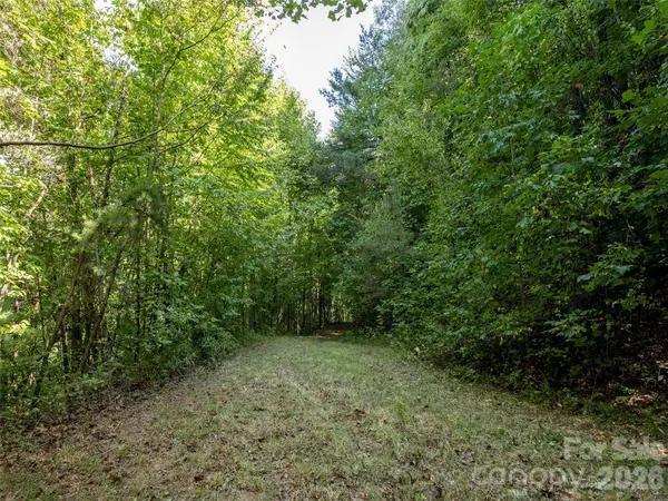 00 Newfound RD, Leicester, NC 28748