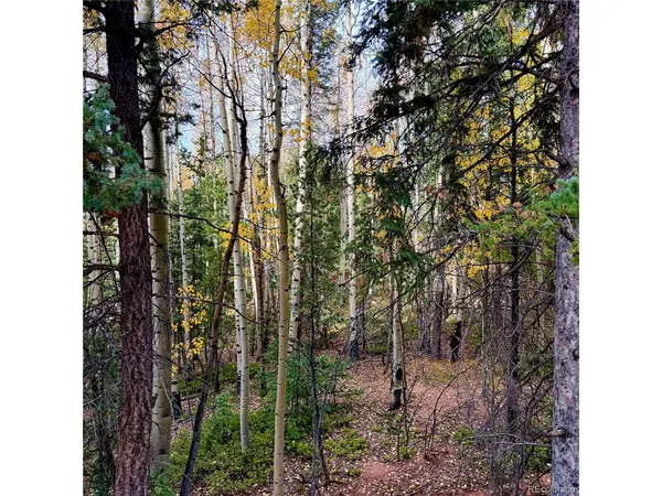 1341 Calcite, Divide, CO 80814