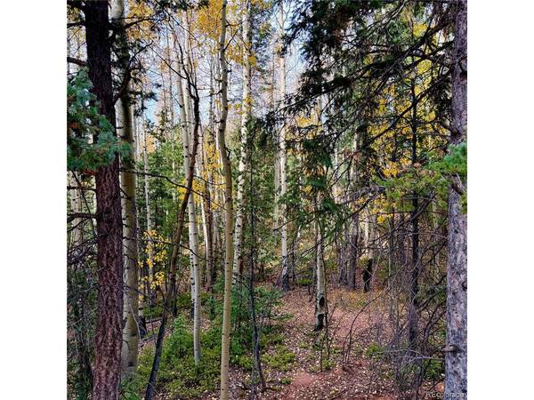 1341 Calcite, Divide, CO 80814