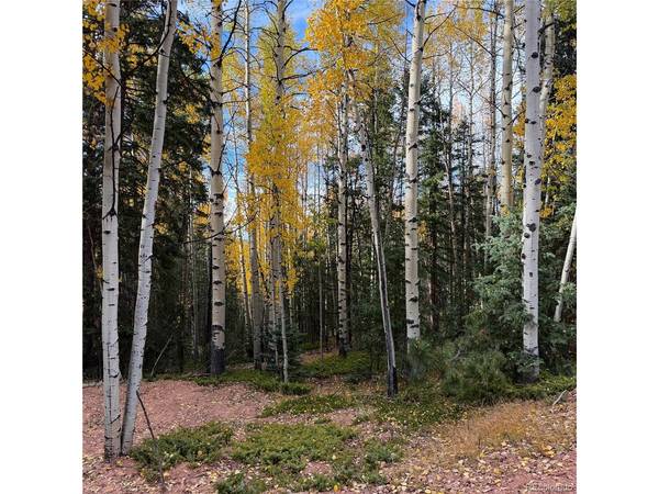 1341 Calcite, Divide, CO 80814