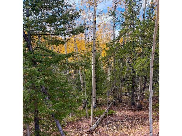 1341 Calcite, Divide, CO 80814