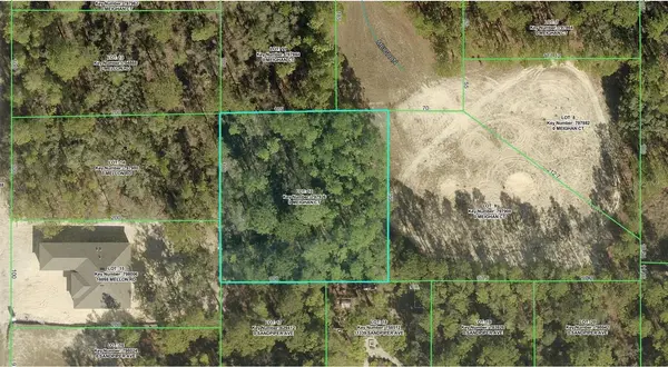 R01-221-17-3360-0653-0100 MEIGHAN CT, Weeki Wachee, FL 34614