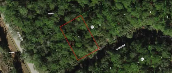 9183 N Anton WAY, Citrus Springs, FL 34434