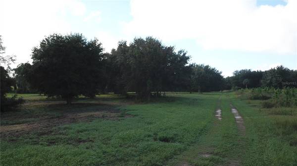 W LAKE YALE RD, Umatilla, FL 32784
