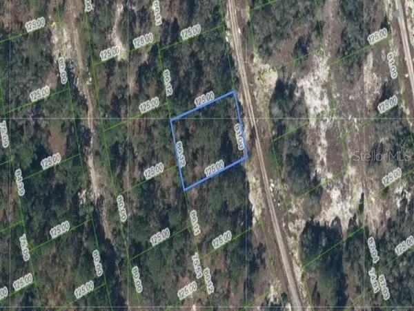 214 ISLAND MIST DR, Lake Placid, FL 33852