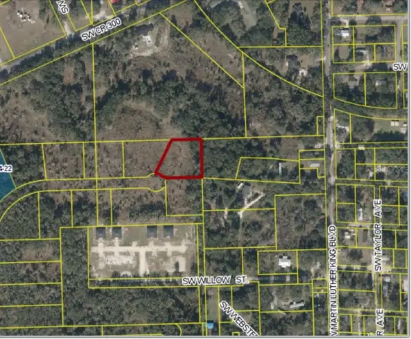 SW ROOSEVELT, Mayo, FL 32066