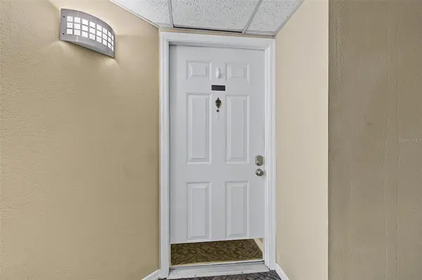 3211 W SWANN AVE #203, Tampa, FL 33609