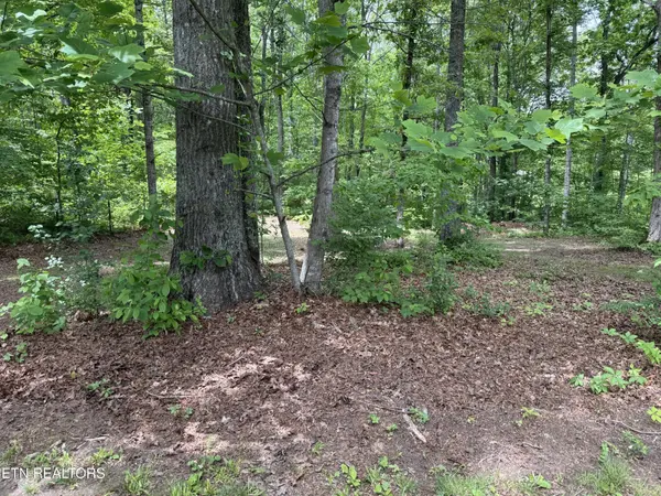 3422 Airport Rd, Rockwood, TN 37854