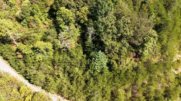 315 Enclave Way, Kingston, TN 37763