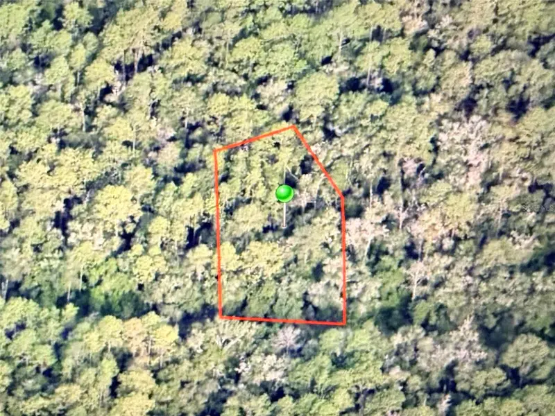 9452 N IRONDALE RD, Citrus Springs, FL 34434