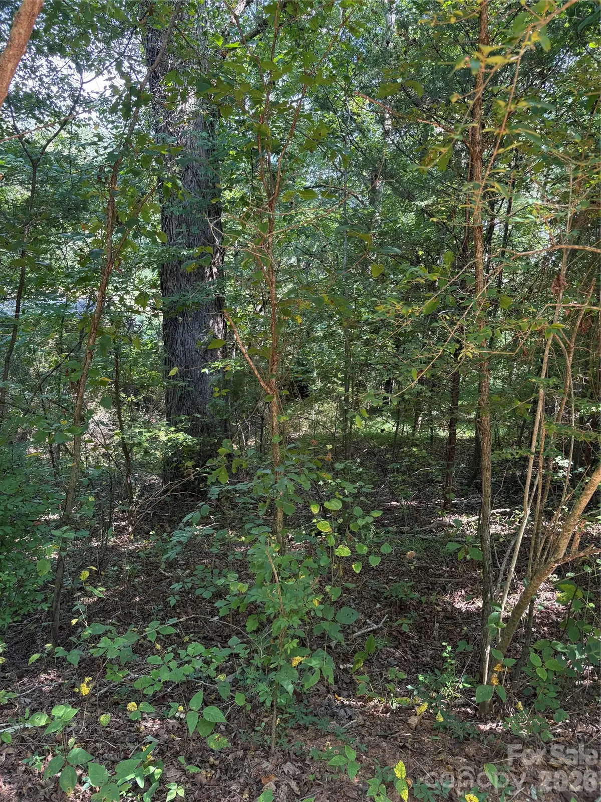 TBD Bedford Creek RD, Ellenboro, NC 28040