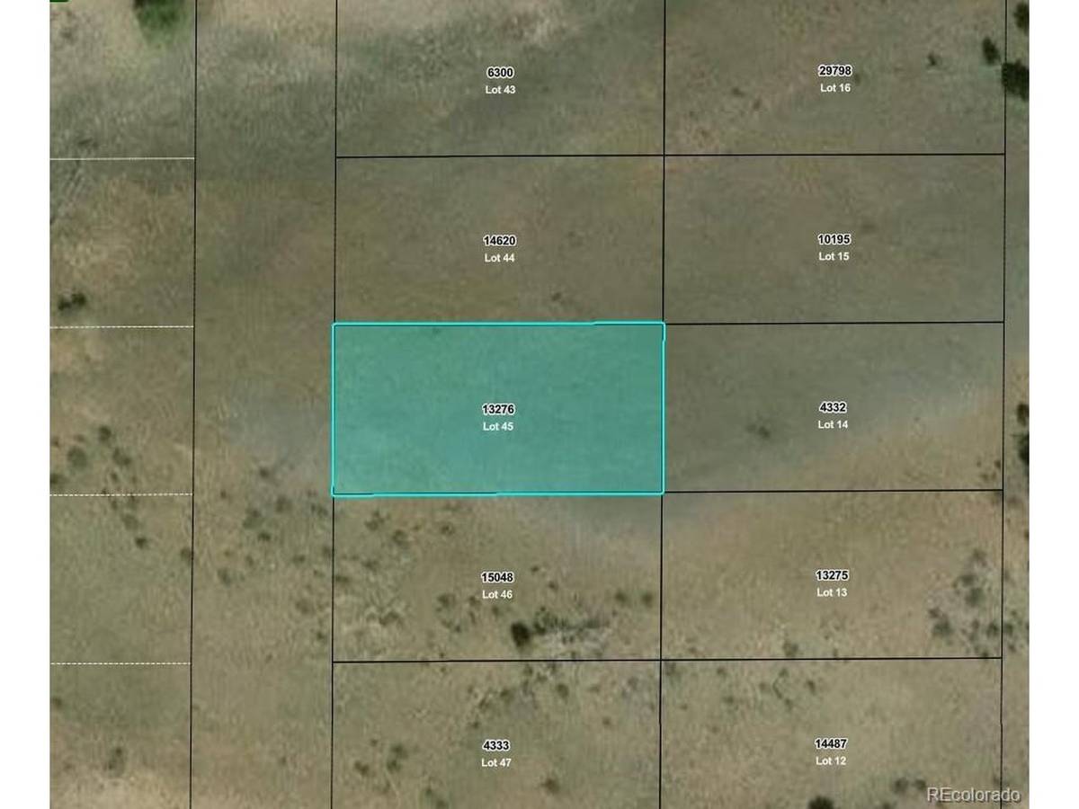Willow, Hartsel, CO 80449