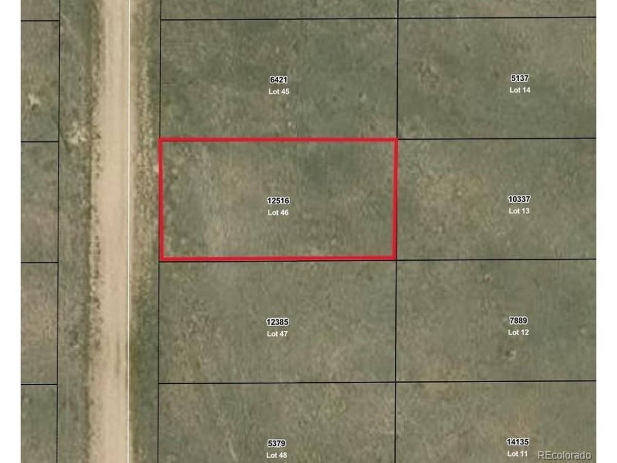 Buck, Hartsel, CO 80449