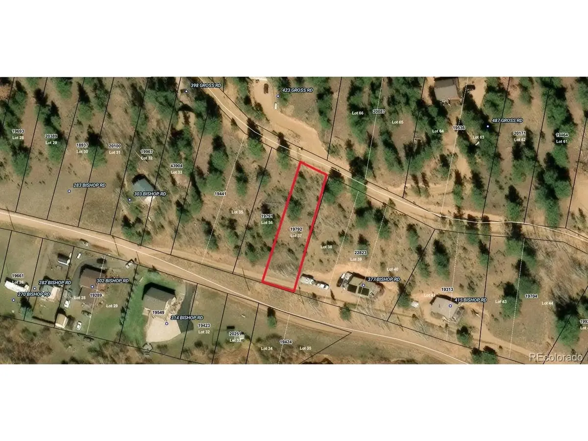 357 Bishop, Bailey, CO 80421