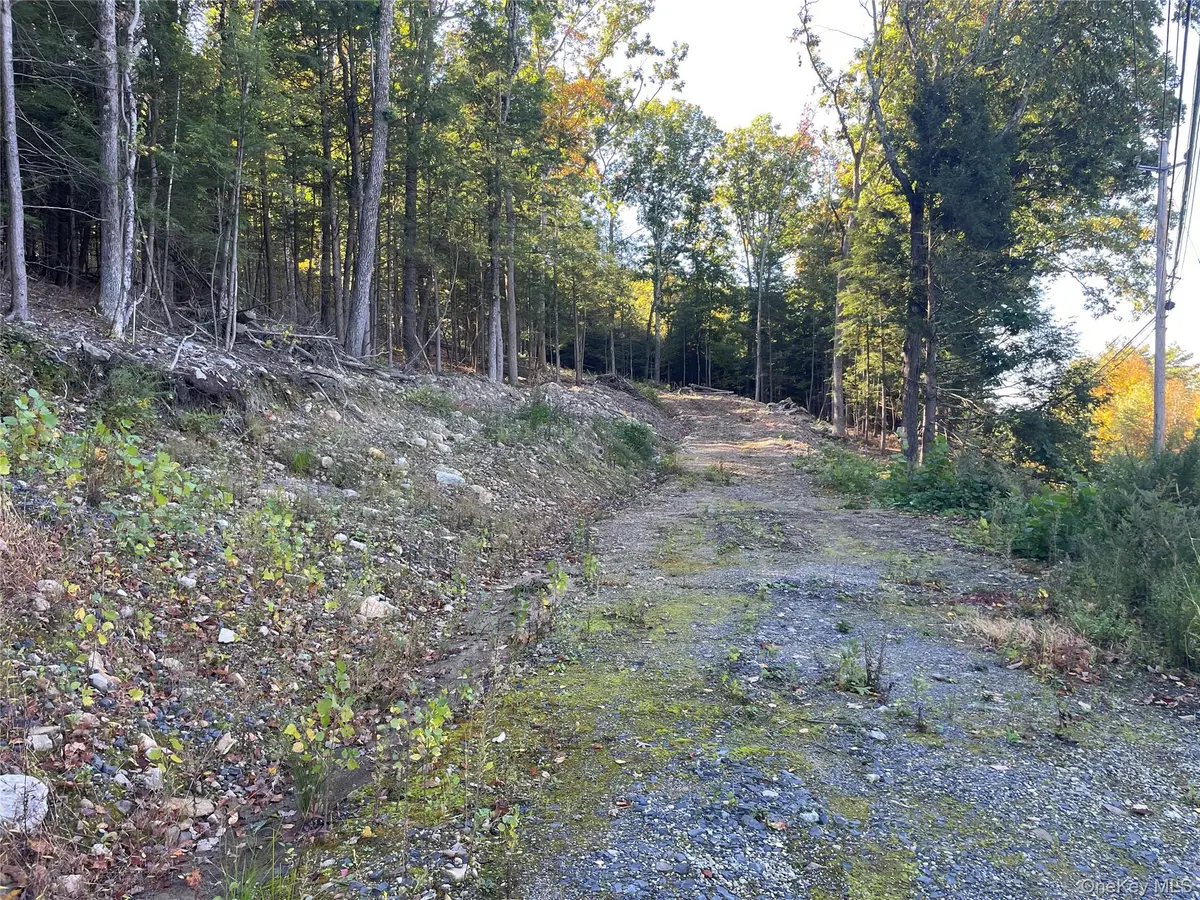 Mamakating RD, Wurtsboro, NY 12790